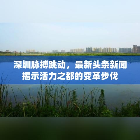 深圳脉搏跳动，最新头条新闻揭示活力之都的变革步伐