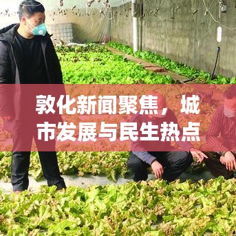 敦化新闻聚焦，城市发展与民生热点同步更新