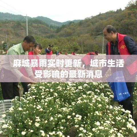 麻城暴雨实时更新，城市生活受影响的最新消息