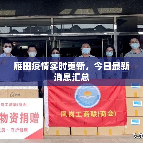 雁田疫情实时更新，今日最新消息汇总