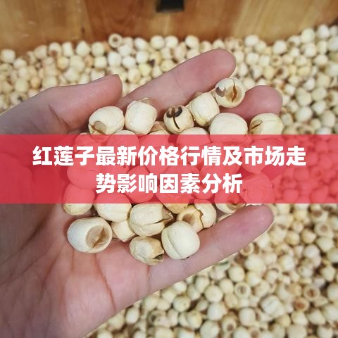 红莲子最新价格行情及市场走势影响因素分析