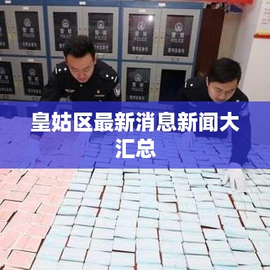 皇姑区最新消息新闻大汇总