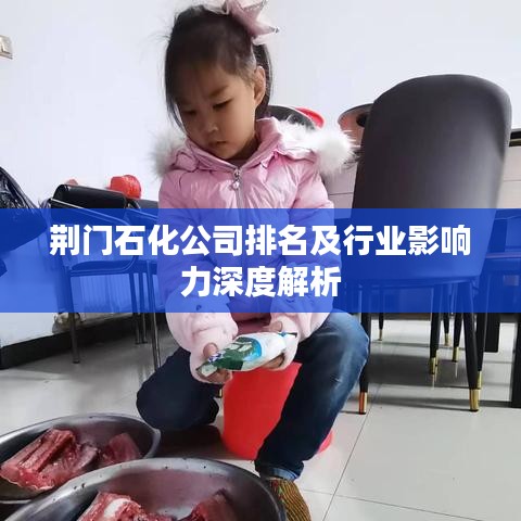 荆门石化公司排名及行业影响力深度解析