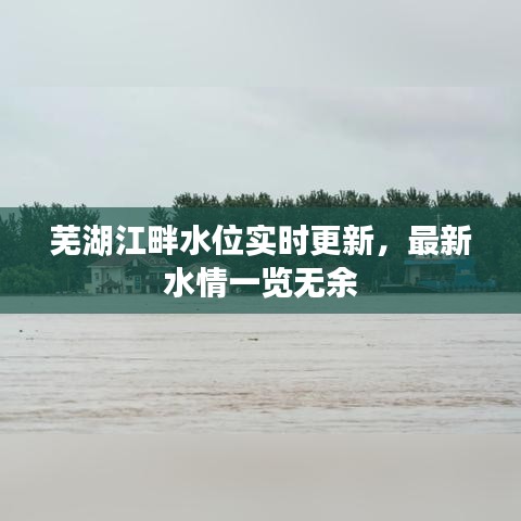 芜湖江畔水位实时更新，最新水情一览无余