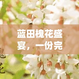 蓝田槐花盛宴，一份完整的旅游攻略