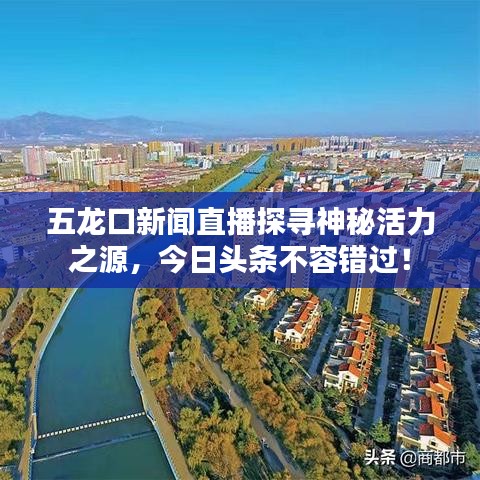 五龙口新闻直播探寻神秘活力之源，今日头条不容错过！