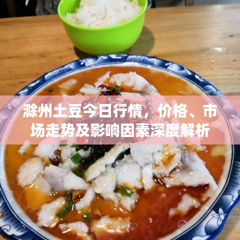 滁州土豆今日行情，价格、市场走势及影响因素深度解析