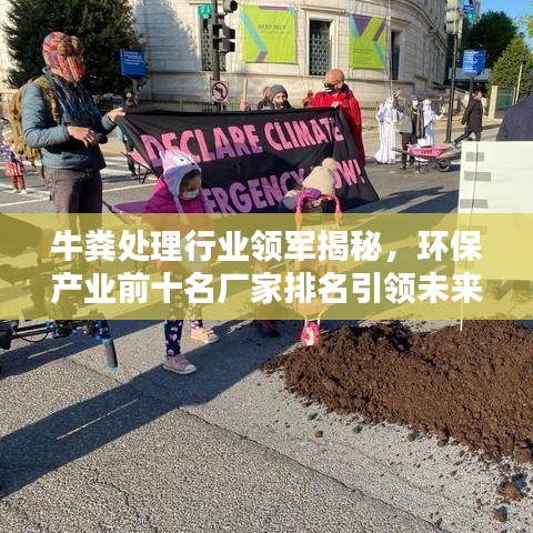 牛粪处理行业领军揭秘，环保产业前十名厂家排名引领未来！