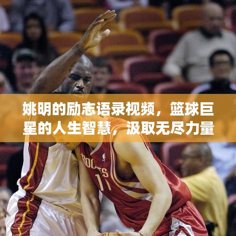 姚明的励志语录视频，篮球巨星的人生智慧，汲取无尽力量之源
