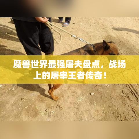 魔兽世界最强屠夫盘点，战场上的屠宰王者传奇！