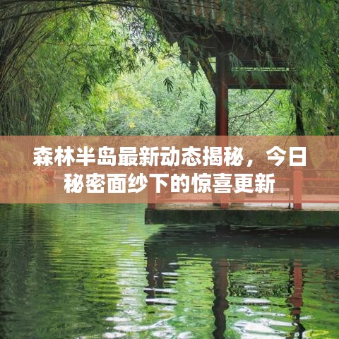 森林半岛最新动态揭秘，今日秘密面纱下的惊喜更新