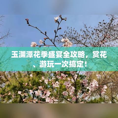 玉渊潭花季盛宴全攻略，赏花、游玩一次搞定！