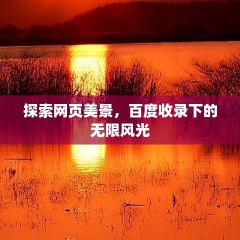 探索网页美景，百度收录下的无限风光