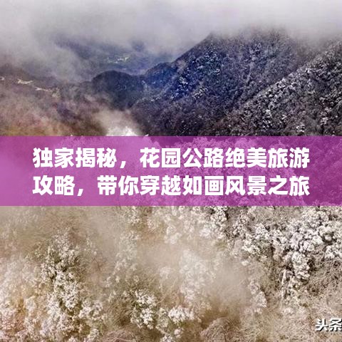 独家揭秘，花园公路绝美旅游攻略，带你穿越如画风景之旅