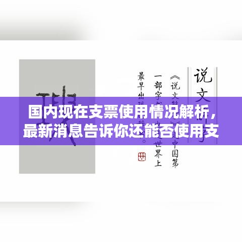 国内现在支票使用情况解析，最新消息告诉你还能否使用支票