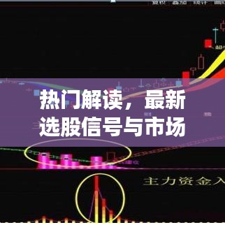热门解读，最新选股信号与市场动向分析，助力投资决策