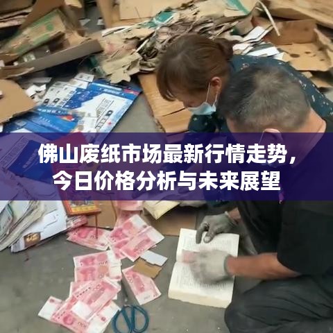 佛山废纸市场最新行情走势，今日价格分析与未来展望
