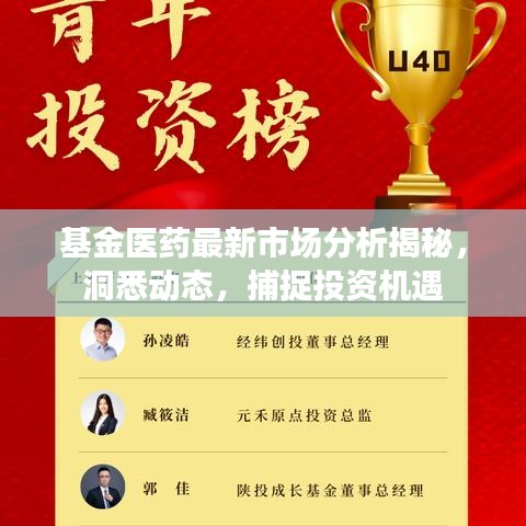 基金医药最新市场分析揭秘，洞悉动态，捕捉投资机遇