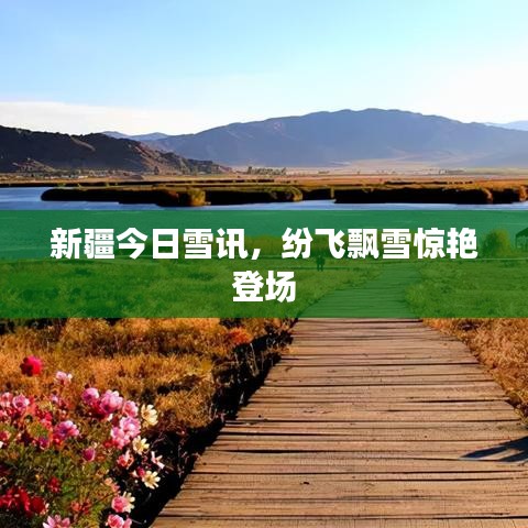 新疆今日雪讯，纷飞飘雪惊艳登场