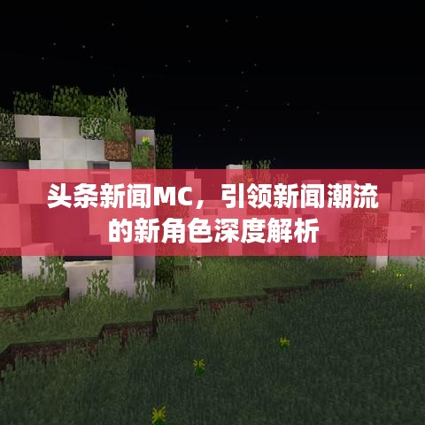 头条新闻MC，引领新闻潮流的新角色深度解析