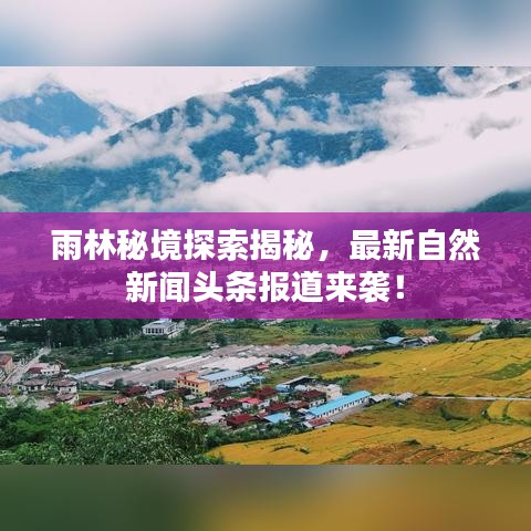 雨林秘境探索揭秘，最新自然新闻头条报道来袭！