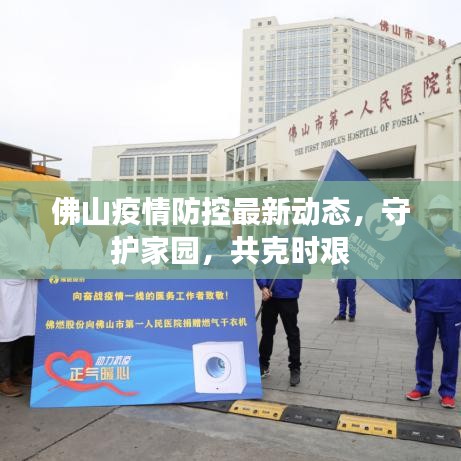 佛山疫情防控最新动态，守护家园，共克时艰