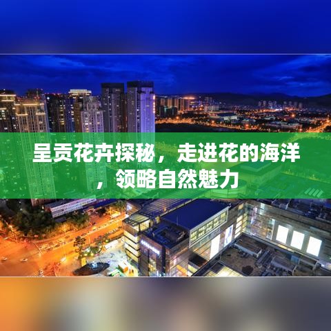 呈贡花卉探秘，走进花的海洋，领略自然魅力
