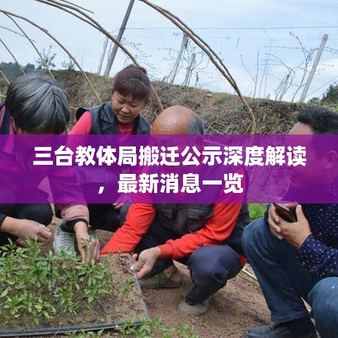 三台教体局搬迁公示深度解读，最新消息一览