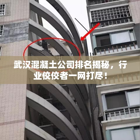 2025年5月26日 第11页