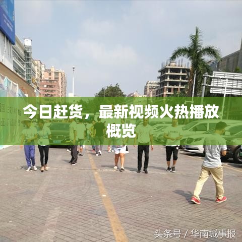今日赶货，最新视频火热播放概览