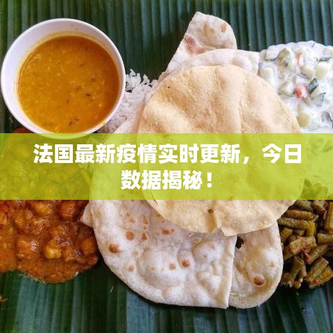 法国最新疫情实时更新，今日数据揭秘！