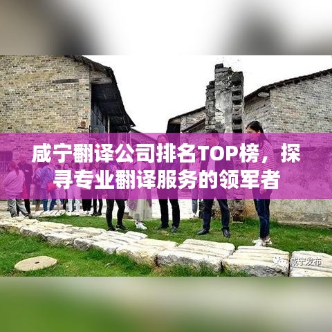 咸宁翻译公司排名TOP榜，探寻专业翻译服务的领军者
