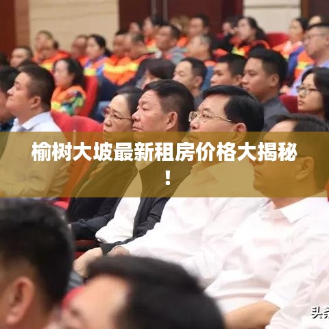 榆树大坡最新租房价格大揭秘！