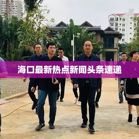 海口最新热点新闻头条速递