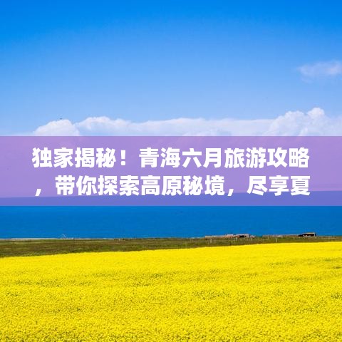 独家揭秘！青海六月旅游攻略，带你探索高原秘境，尽享夏日风情盛宴