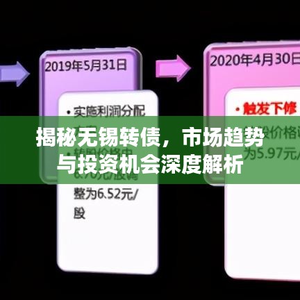 揭秘无锡转债，市场趋势与投资机会深度解析
