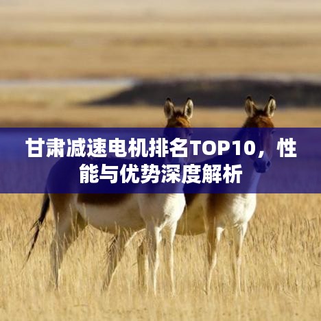 甘肃减速电机排名TOP10，性能与优势深度解析