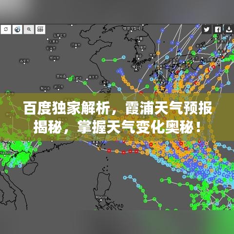 2025年5月28日 第15页