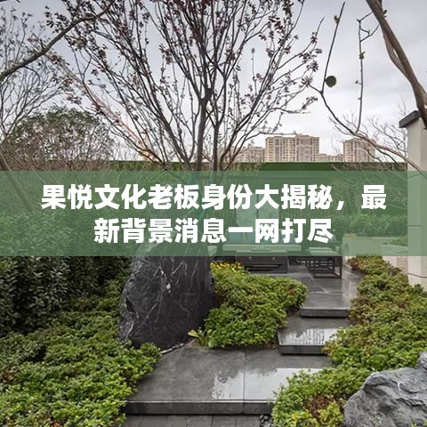 果悦文化老板身份大揭秘，最新背景消息一网打尽