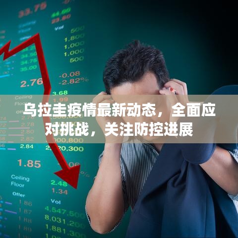 2025年5月28日 第8页