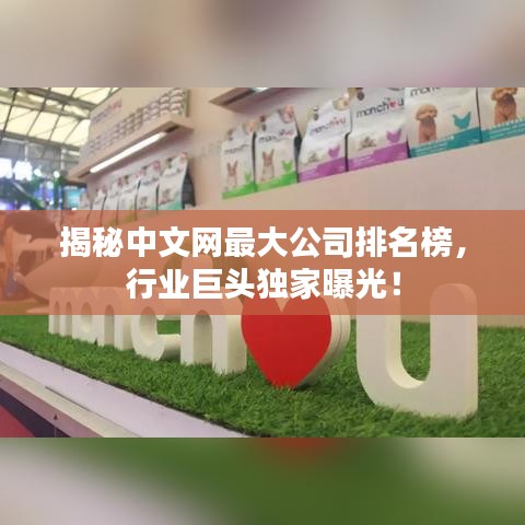 揭秘中文网最大公司排名榜，行业巨头独家曝光！