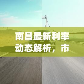 南昌最新利率动态解析，市场趋势深度解读与应对策略建议
