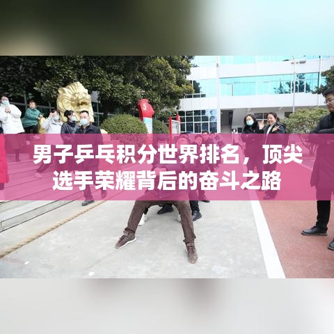 男子乒乓积分世界排名，顶尖选手荣耀背后的奋斗之路