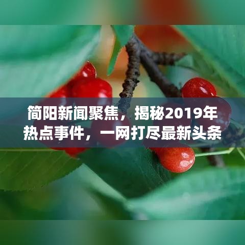 简阳新闻聚焦，揭秘2019年热点事件，一网打尽最新头条资讯