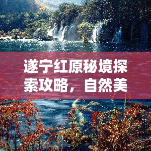 遂宁红原秘境探索攻略，自然美景尽收眼底