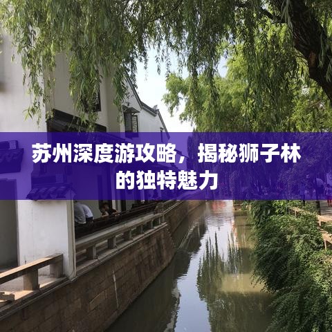 苏州深度游攻略，揭秘狮子林的独特魅力