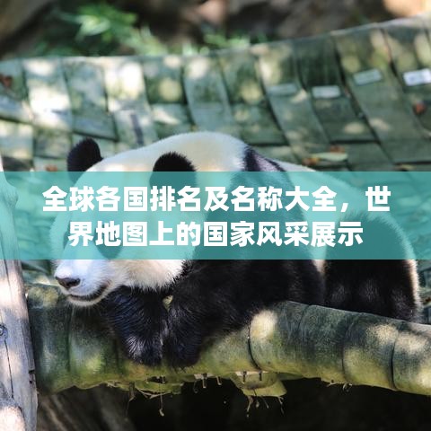 全球各国排名及名称大全，世界地图上的国家风采展示