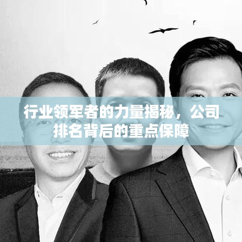 行业领军者的力量揭秘，公司排名背后的重点保障