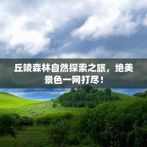 丘陵森林自然探索之旅，绝美景色一网打尽！