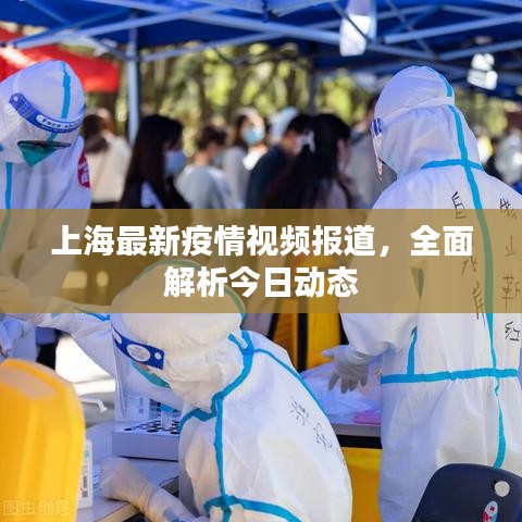 上海最新疫情视频报道，全面解析今日动态